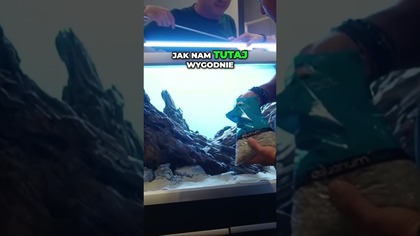 Wykończenie aranżacji.