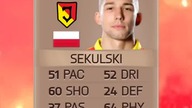 Łukasz SekulskiEvery FIFA Evolution (FIFA 10-23)