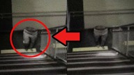 5 STRASZNYCH PARANORMALNYCH NAGRAŃ których NIE WIDZIAŁEŚ!