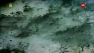 Poszukiwanie Nuestra Señora de Atocha - cały film dokumentalny - lektor PL