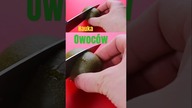 Nauka owoców dla dzieci - kiwi