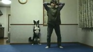 Pies robi    przysiady!