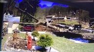 Jak NIE wycinać drzew. Kolejny drwal amator