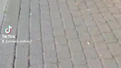 Andrzej misiarz ratuje piłkę na drodze 200 m od boiska polub udostępnij wiadomości z Cieszyna