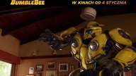 Bumblebee  spot 10 s. (1)