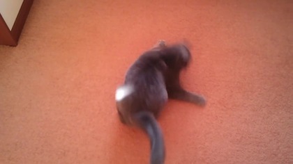 Prędkość nadświetlna.  Najbardziej wiarygodny sposób.  [Reupload]