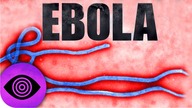 Czy ebola została stworzona przez człowieka?