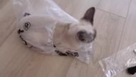 KAWAII HAUL zakupowy z Modakawa *PRZEUROCZE*