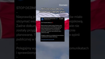 FAZA DEZINFORMACJI W POLSKIM INTERNECIE