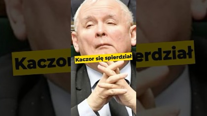 Kaczor się spierdział #Kaczyński #Kaczor