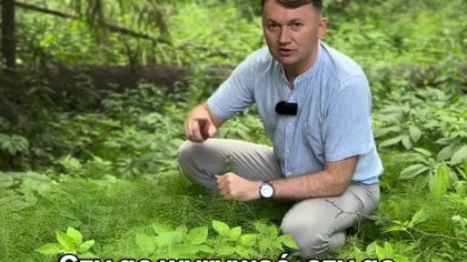 Ta roślina ma 5 x więcej krzemu niż skrzyp polny! | Michał Toczyłowski | Narum | Narine