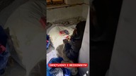 ŚWIĘTUJEMY Z BEZDOMNYM 