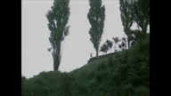Zielone lata (1979)