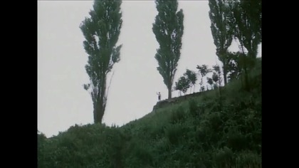 Zielone lata (1979)