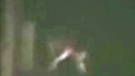 REAL HYBRID ALIEN CREATURE ON CAUGHT FILM