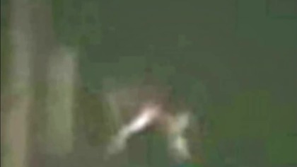 REAL HYBRID ALIEN CREATURE ON CAUGHT FILM