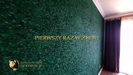 Gwieździste niebo w 4K! Szklane ściany i sufity 3D - Innowacyjne Dekoracje