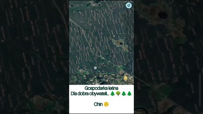 Lasy dla dobra obywateli...  