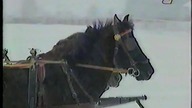 T-Raperzy z nad Wisły - Dzwoneczku Dzwoń, Świeczko Płoń (Jingle Bells)
