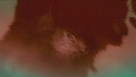 Equinox. S01E03.pl. 1080p. NF. WEB-DL. x264. AC3-KiT