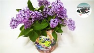 Jak zrobić wazon decoupage w stylu prowansalskim [VASE WITH PROVENCAL STYLE]- Pomysły plastyczne DiY