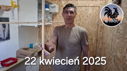 W Garden kuRaż * Kanarki i gołąbki diamentowe * 22.  04.  2025