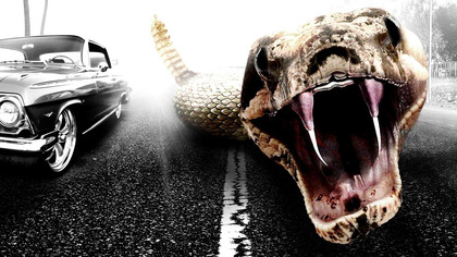 Morderczy mutant (2018) Lektor PL