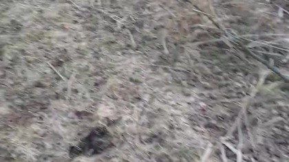 sprawdzam stan czystości lasu i jeziora...