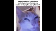 Co tam byku na haku? #shortsparody #shorts #kitty #cats #funny #catvideos #dc #fyp #wędlowanie