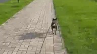 Bez bucików.