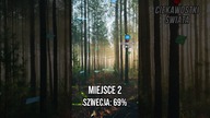 5 NAJBARDZIEJ ZALESIONYCH KRAJÓW W EUROPIE