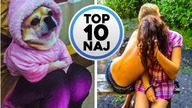 Top 10 Naj | WTF?!? #21 - Przyjrzyj się uważnie! :D