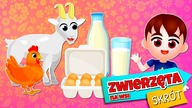 Co nam dają wiejskie zwierzęta? Mleko, ser, wełna, mięso  Kazio i ZWIERZĘTA NA WSI / Skrót