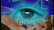 TVP2 - Fragment Dziennika krajowego (09. 03. 2000)