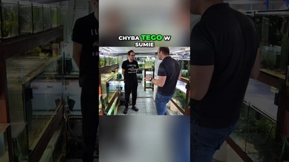 Kolekcja Skalarków Pasja z Dzieciństwa Ożywa!