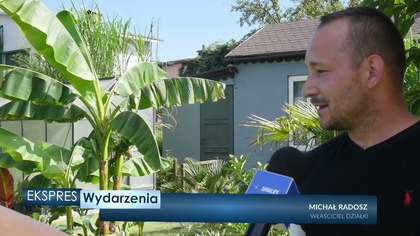 Egzotyczne rośliny i ogrody działkowe z ponad 40-letnią tradycją.  Wizyta w SOD Warpie