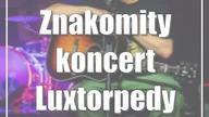 Znakomity koncert Luxtorpedy [zdjęcia]