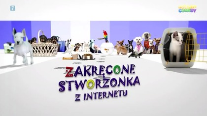 POWERTVCOMEDY/POWERTV - 06-12-2025 - Reklamy, Dżingiel