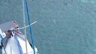 Znalazłem idealne miejsce na ziemi...   #shorts #travel #nature #ocean #drone #view #relax