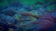 Wizyta w sklepie Reeftime