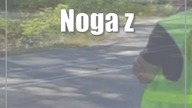 Noga z gazu! Dzisiaj więcej drogówki w terenie