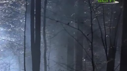 Czynnik. PSI. S03E16.pl. avi