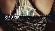 THE SHARK BASS x PEPEK - Cipu Cip (prod.  Lazy Rida Beats)