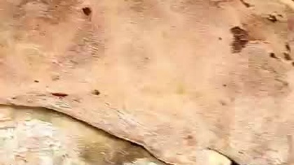 Pierekaczewnik - Tatarski Pieróg - jak wyszło Dąbie kuchni litewsko-tatarskiej na słodko i wytrawnie