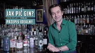 Jak pić gin? Najtrudniejszy drink z ginem!