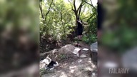Człowiek kontra natura (FailArmy)