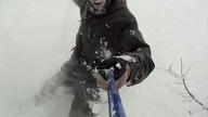 Best of Red Bull extreme sports