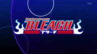 Bleach Odcinek 217 Lektor PL