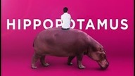 The Hippopotamus - Zwiastun (2017)