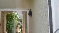 Slow Motion Parkour